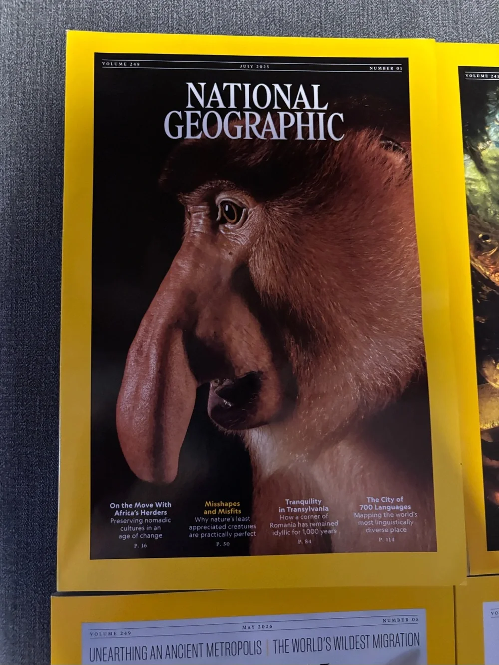National Geographic Magazine Lot - 8 issues with animal themes